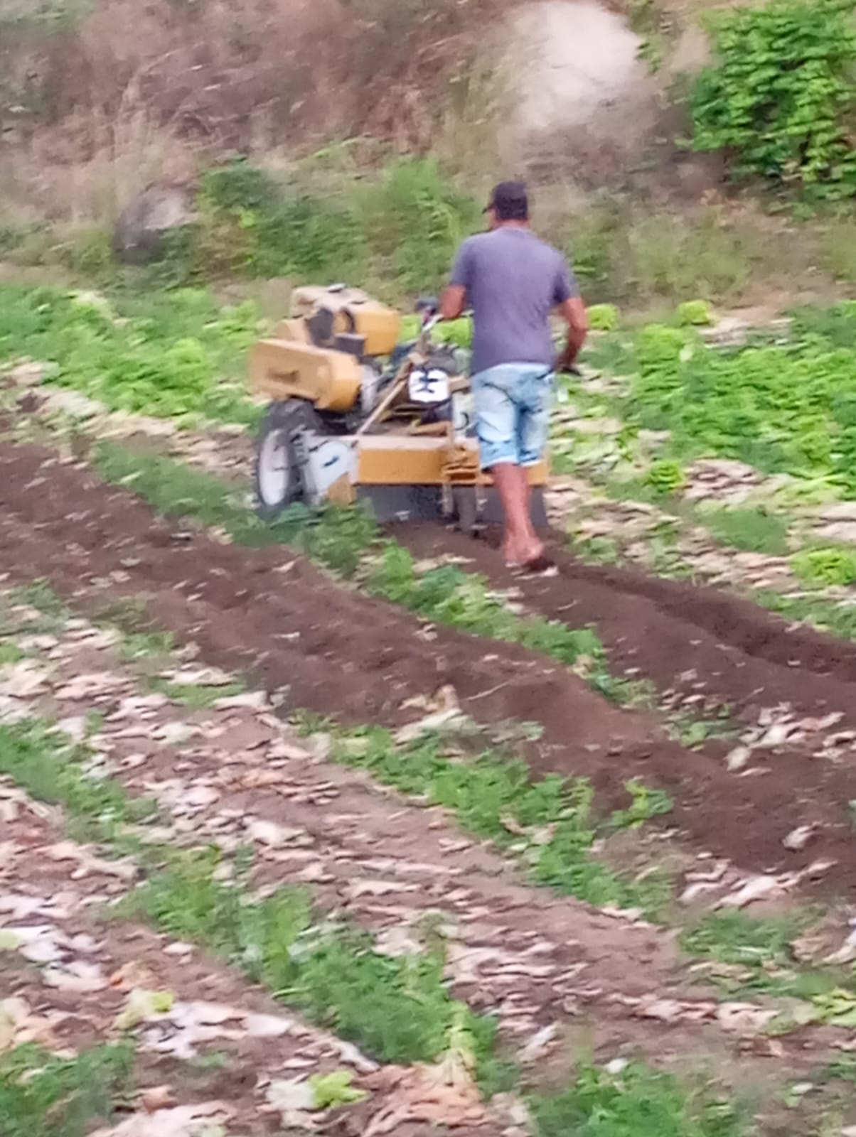 Agricultura Familiar