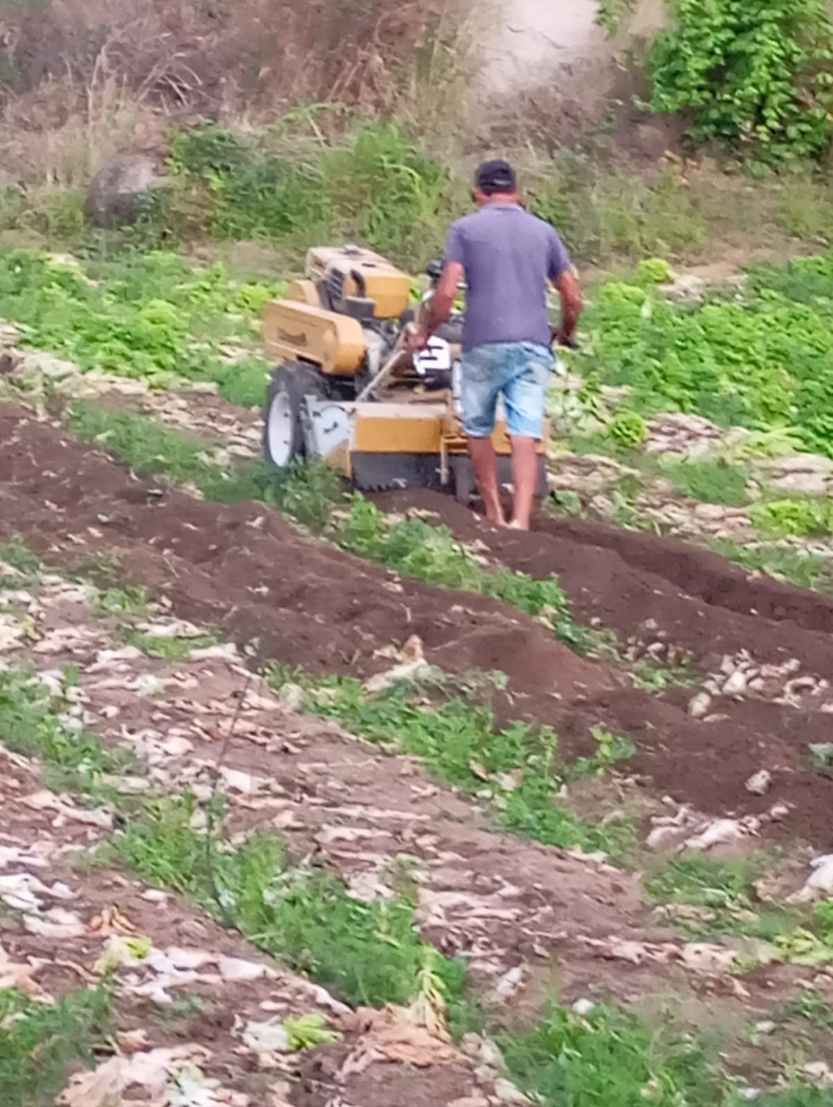 Direitos do Trabalhador Rural