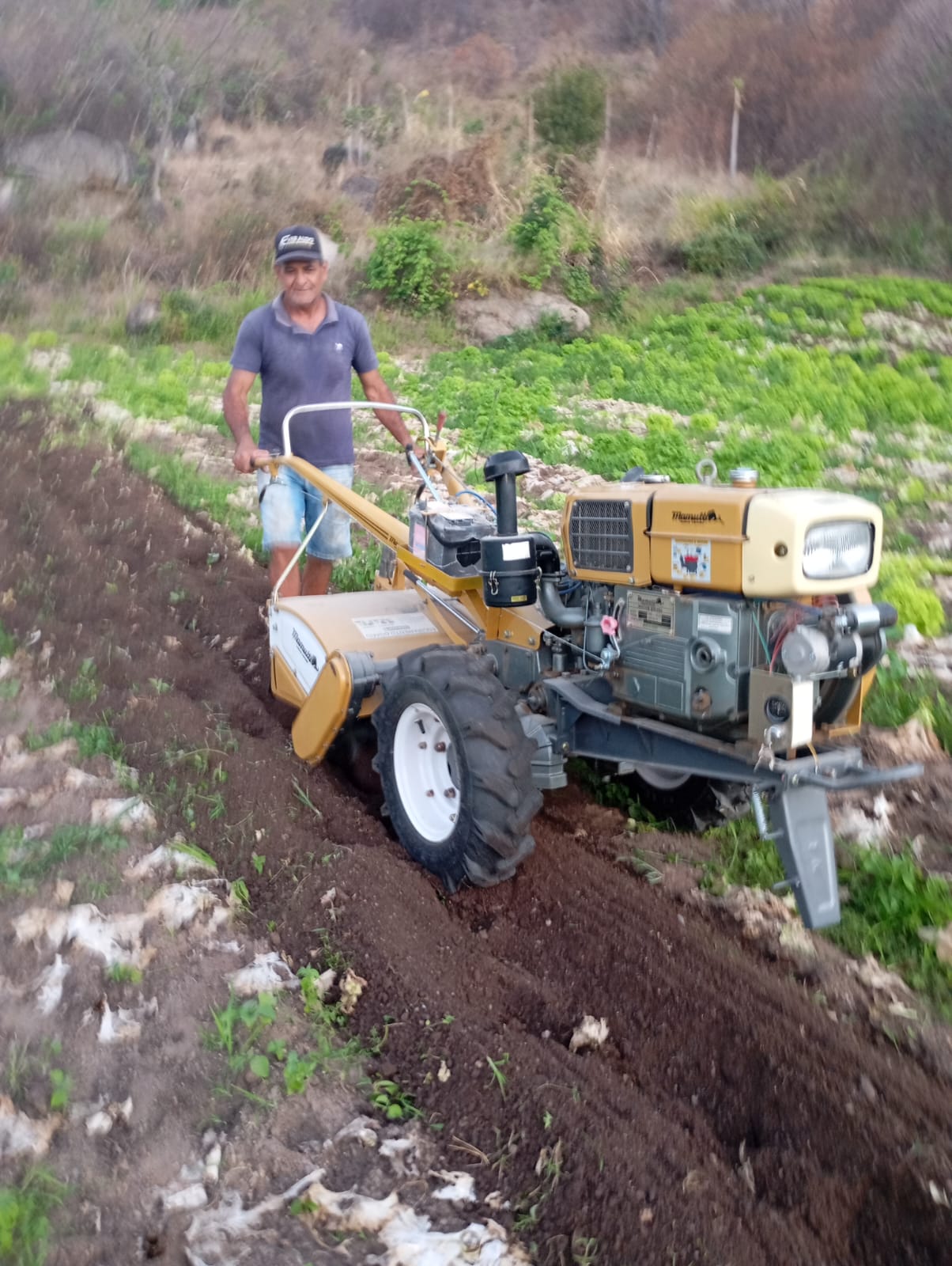 Fortalecimento Rural